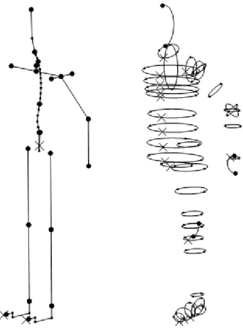 Figure 3-1 : Squelette final du modèle et ellipses permettant la création de la surface