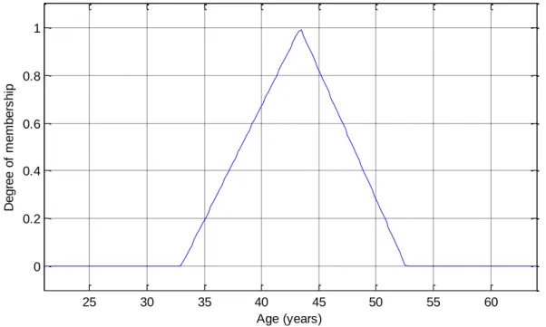 Figure 3-1 shows a triangular membership function representing the variable age in fuzzy form