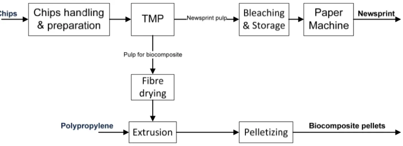 Figure 3.9: Simplified flow-sheet of simultaneous biocomposite production 