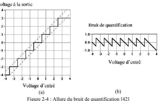 Figure 2-4 : Allure du bruit de quantification [42]  (a) (b) 