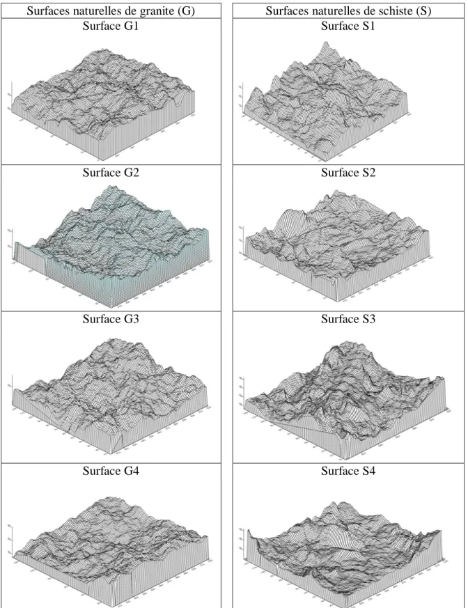 Figure 3-11 : Représentations 3D des moulages des surfaces naturelles de granite et de schiste 