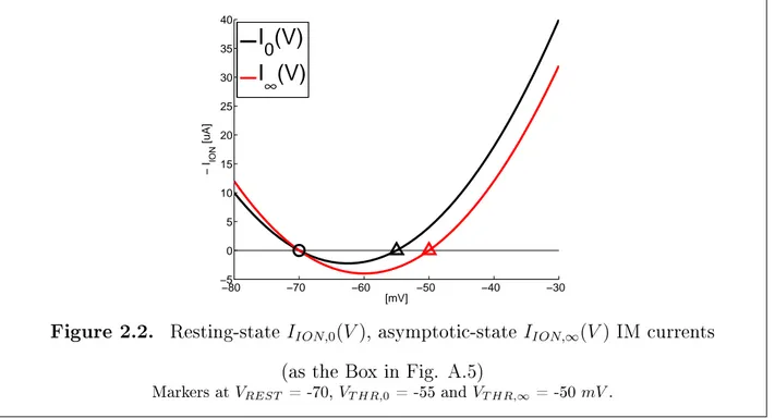 Figure 2.2. Resting-state I ION,0 (V ) , asymptotic-state I ION,∞ (V ) IM currents