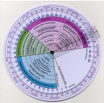 Figure 5 : Gestogramme. 