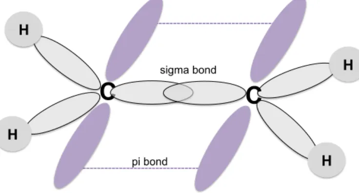 Figure  1.2  Schematic  representation  of  sp 2   hybridized  orbitals  of  ethylene  molecule