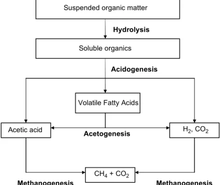 Figure 2.9 - Processus de dégradation de la matière organique complexe en biogas.  (tiré de Appels et al., 2008) 