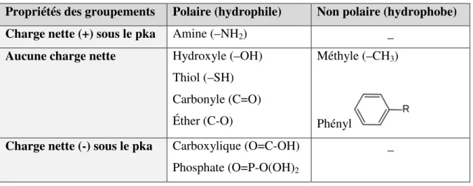 Tableau 1-1 : Classement des groupements fonctionnels selon leurs propriétés 17 Propriétés des groupements  Polaire (hydrophile)  Non polaire (hydrophobe) 
