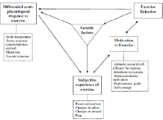 Figure 2.5-1 Modèle transdisciplinaire du comportement d’activité physique ou sportive par {Bryan2011}