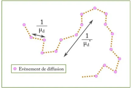 Figure 1.2 – Représentation schématique de la différence entre le coefficient de diffusion µ d et le