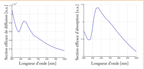 Figure 3.2 – Sections efficaces d’absorption et de diffusion calculées à l’aide de l’équation 3.3 pour une nanoparticule sphérique d’or de 5 nm de diamètre.