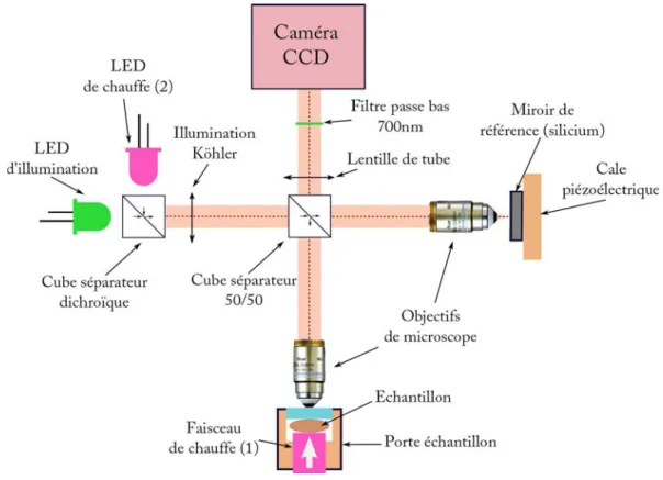 Figure 3.8 – Schéma du montage d’OCT plein champ utilisé pour cette étude. La particularité de