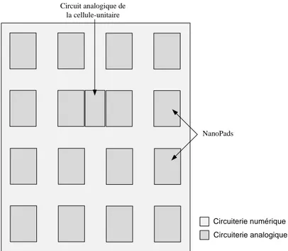 Figure 1.7 Schéma  explicatif  de  la  séparation  des  circuiteries  analogique  et  numérique  pour  une cellule-unitaire