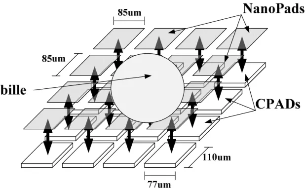 Figure 2.2  Description  du  lien  entre  les  NanoPads  et  les  CPADs  constituant  le  WaferIC  ainsi  que  leurs  tailles  respectives  (Laflamme-Mayer,  André,  Valorge,  Blaquière, &amp; Sawan, 2013)