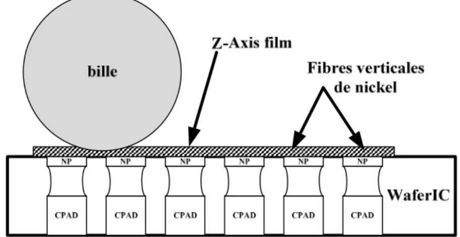 Figure 2.4  Figure  explicative  montrant  le  « Z-axis  film »  protégeant  la  surface  du  WaferIC et permettant un bon contact électrique grâce à sa structure en fibres verticales  conductrices de nickel