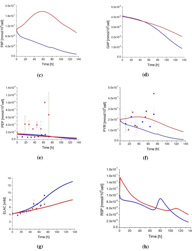 Figure 3.6: Effect of cell passage on glycolysis and pentose phosphate pathways intermediates  concentration