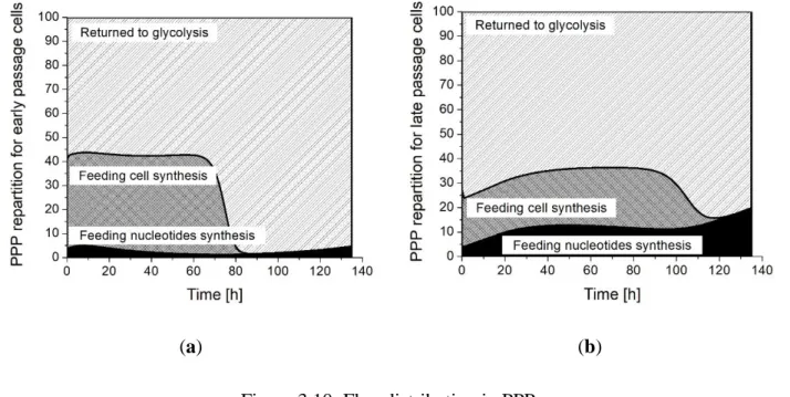 Figure 3.10: Flux distribution in PPP.  