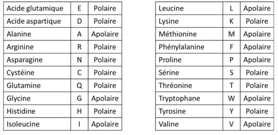 Figure 1.15: Liste des acides aminés, de leur abréviation et de leur polarité.