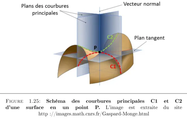 Figure 1.25: Schéma des courbures principales C1 et C2 d'une surface en un point P. L'image est extraite du site