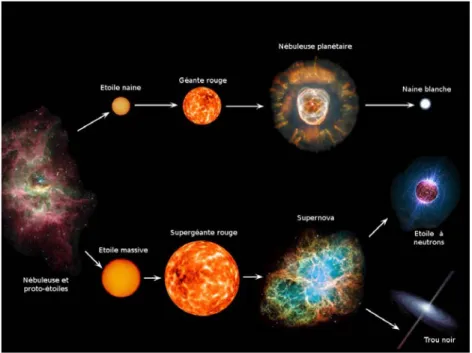 Figure 1.2 – Résumé des grandes lignes de l’évolution stellaire. Les différents objets ne sont pas à l’échelle