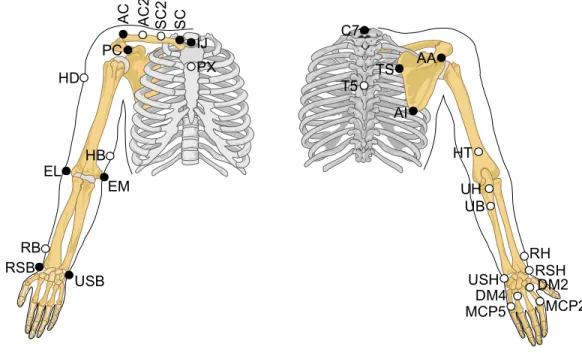 Fig. 4 Marker placement including anatomical (in black) and technical (in white) markers