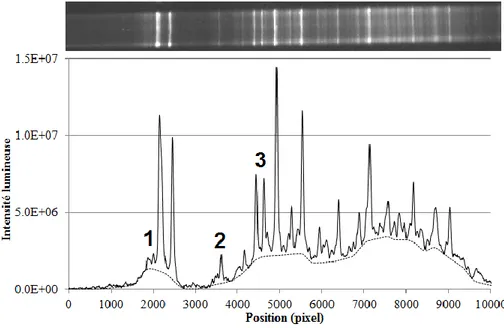 Figure 3-2 : Délimitation entre le signal attribuable aux espèces abondantes (pics visibles) et celui  attribuable aux espèces plus rares