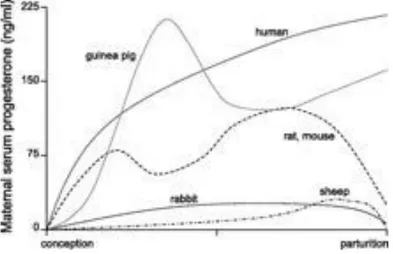 Figure  9:  Concentrations  sériques  maternelles  de  progestérone  pendant  la  gestation