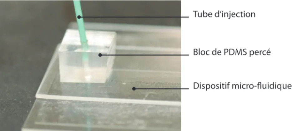 Figure 2.13 – Image de connectiques micro-fluidiques.