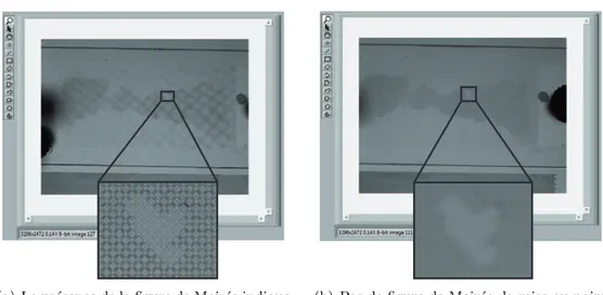 Figure 2.19 – Captures d’´ ecrans lors de la mise au point sur le dispositif micro- micro-fluidique.