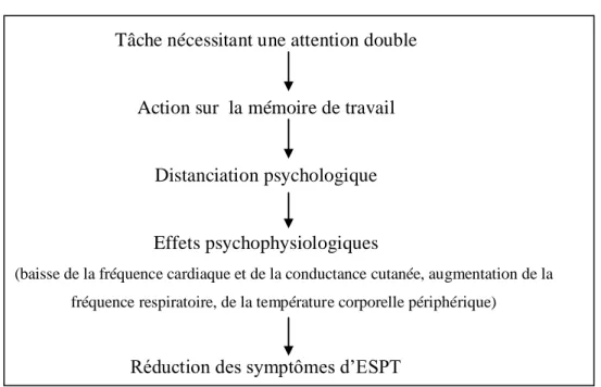 Figure 1 - Modèle intégratif des mécanismes d’action de l’EMDR dans l’ESPT, selon Gunter &amp;  Bodner (2009)