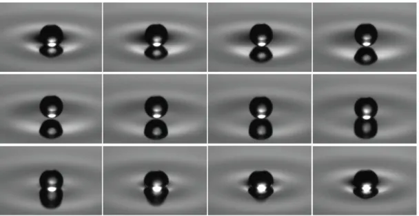 Figure 1.5 Ű Rebond dŠune goutte de diamètre D = 1.2 mm. Les photographies sous prises toutes les deux millisecondes