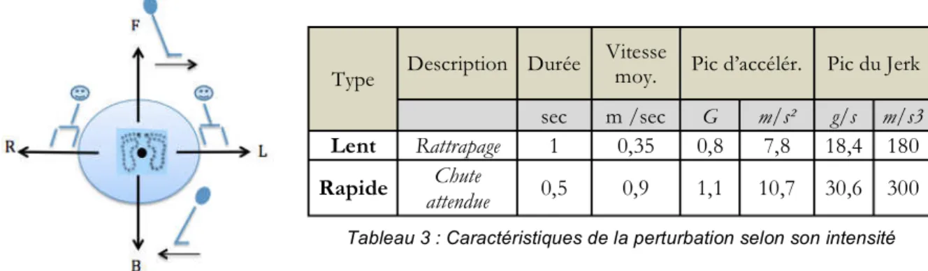 Figure 29 Caractéristiques de la perturbation selon la direction de la translation de la surface (sens 