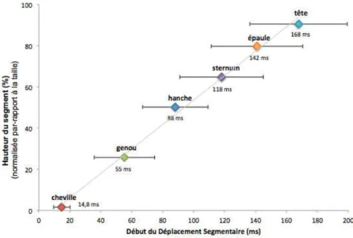 Figure 39 : Relation linéaire entre la hauteur du segment corporel et sa latence inertielle de déplacement 