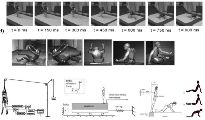 Figure 25 : Diversité des protocoles expérimentaux pour l’étude de la chute 