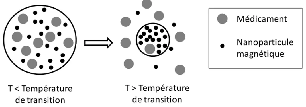 Figure 1.1: Illustration de l'action du microdispositif de PNIPA chargé de médicament et de  nanoparticules magnétiques 