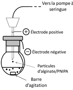 Figure 4.6: Synthèse de particules d'alginate/PNIPA avec application d'un champ électrostatique 