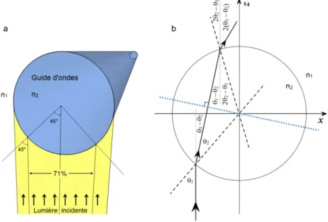 Figure 4-1 : Déviation de la lumière traversant un guide d’ondes cylindrique. a: Schéma du guide  d’ondes