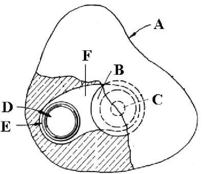 Figure 1-2 : Prothèse oculaire (A) avec pupille changeable magnétiquement. B : Iris d’arrière- d’arrière-plan avec la petite pupille en C