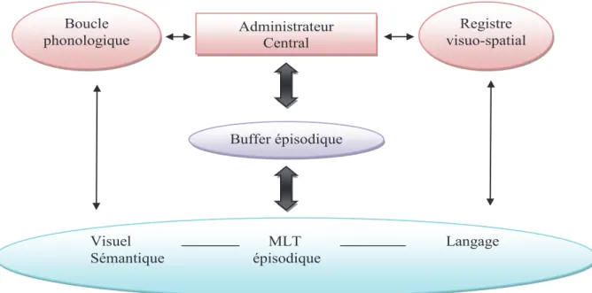 Figure 9: Modèle de la mémoire de travail reformulé (Baddeley, 2000)