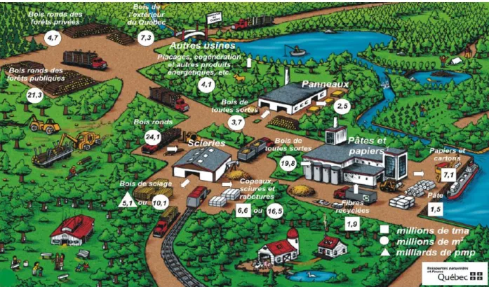Figure 2.1. Intégration de l’industrie de la transformation du bois (MRNF, 2010). 
