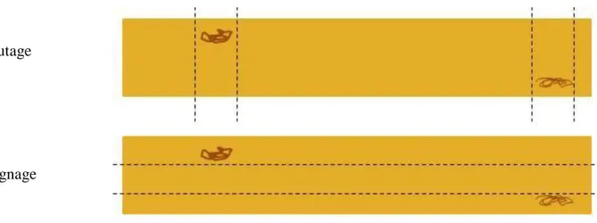 Figure 2.7. Illustration d’un éboutage et d’un délignage. 
