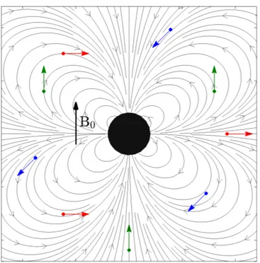 Figure 4.1 Magnetic gradient field around a magnetized spherical core. Arrows depict locations of same gradient orientations (same colors) and magnitudes.