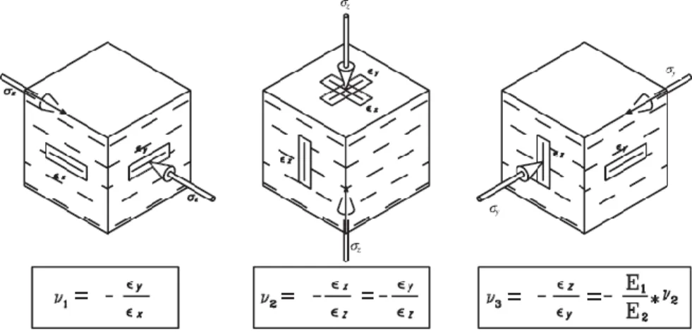 Figure 2.3 : Coefficients de Poisson d’un matériau élastique transversalement isotrope (tirée de  Gonzaga, Leite et Corthésy (2008))