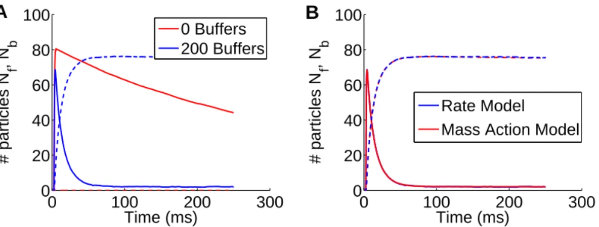 Figure 8: Time course of calcium in the pre-synaptic terminal and target