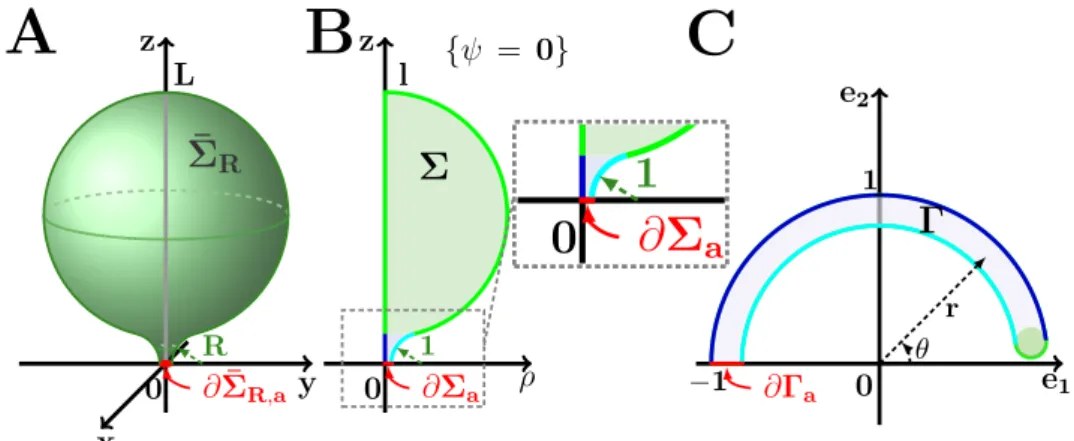 Figure 2.7: Domain with a funnel-shaped cusp. A: Initial domain ¯ ΣR consists of two geometrical features: a large domain or a ball and a small narrow cusp