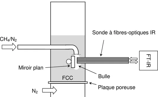 Figure 3-5: Réacteur à lit fluidisé CH4/N2N2 Sonde à fibres-optiques IR FT-IRMiroir plan Bulle FCC Plaque poreuse 