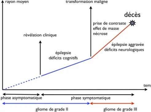 Figure 1.4 – Schéma de l’évolution spontanée d’un gliome de bas grade d’après [Pal08]