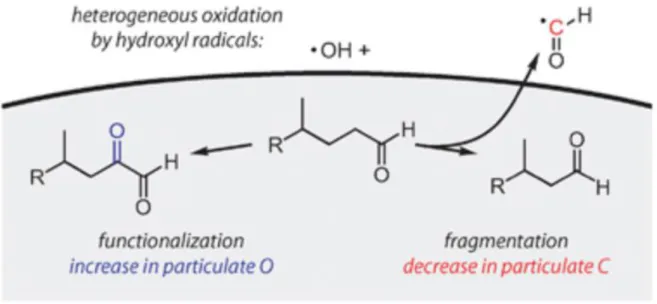 Figure I-10 – Fonctionnalisation  et fragmentation d’un  composé organique en phase condensé  oxydé par le radical OH  (Kroll et al., 2009)  