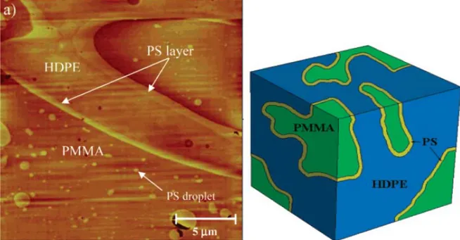 Figure 2.24: Structure co-continue de très faible seuil de percolation dans un mélange ternaire  HDPE/PS/PMMA (50/10/40%vol) (Zhang et al., 2007)