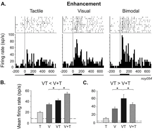 Figure	  I-­‐	  4	  :	  intégration	  multisensorielle	  dans	  l'aire	  pariétale	  ventrale	  chez	  le	  singe	  