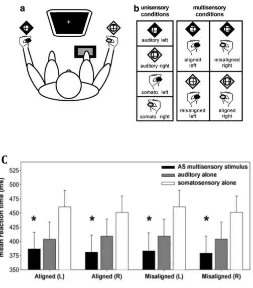 Figure	  I-­‐	  7	  :	  les	  interactions	  audio-­‐tactiles	  ne	  sont	  pas	  contraintes	  par	  l'alignement	   des	  stimuli.	  	  	  