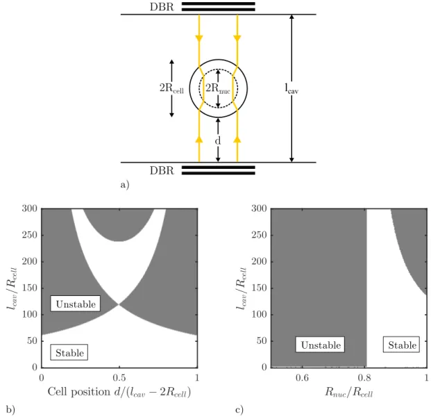 Figure 3.7 Stable (white areas) and unstable (gray areas) conditions in function of the cavity length to cell radius ratio (l cav /R cell ) and the relative position of the cell along the cavity